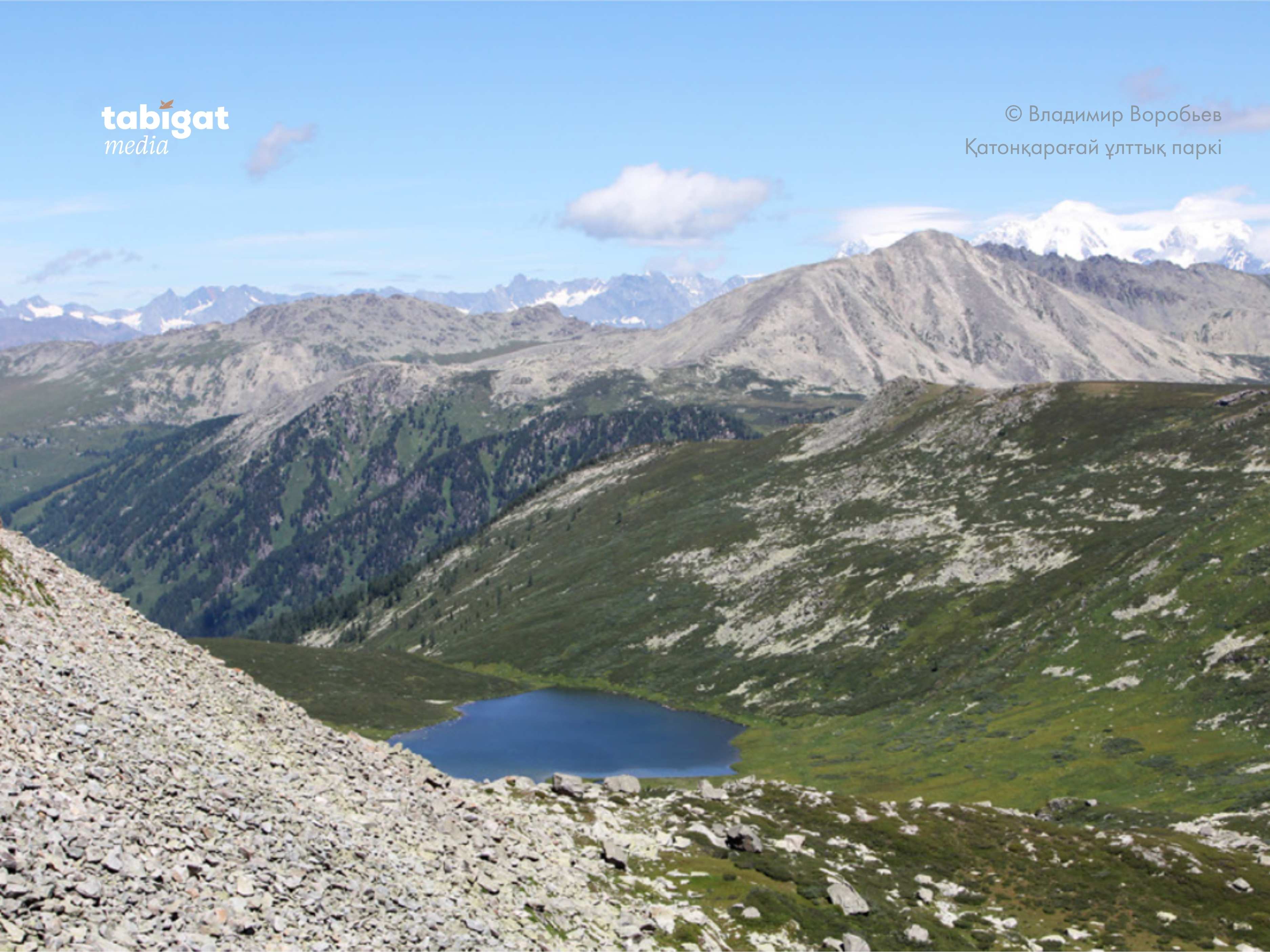 Транссексуал өзінің құрбысын трафиктенді